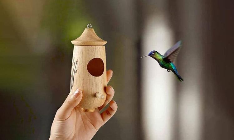 Hummingbird House