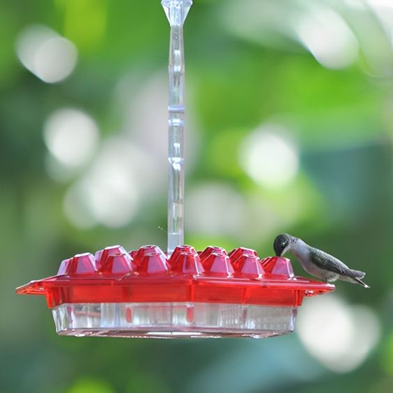 Sherum Sweety Hummingbird Feeder