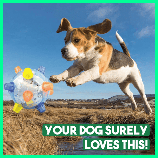 Sherum Pet Ball  Endless Entertainment for Your Furry Friend!